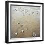 Rock-Strewn Beach-null-Framed Photographic Print