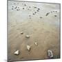 Rock-Strewn Beach-null-Mounted Photographic Print