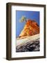 Rock Tree, Checkerboard Mesa, Zion National Park Utah-Vincent James-Framed Photographic Print