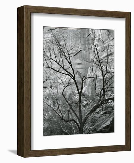 Rock Wall and Trees, Glen Canyon, c. 1960-Brett Weston-Framed Photographic Print