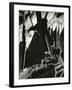 Rock Wall, California, 1969-Brett Weston-Framed Photographic Print