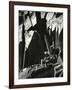 Rock Wall, California, 1969-Brett Weston-Framed Photographic Print