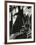 Rock Wall, California, 1969-Brett Weston-Framed Photographic Print