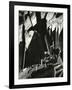 Rock Wall, California, 1969-Brett Weston-Framed Photographic Print