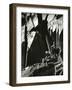 Rock Wall, California, 1969-Brett Weston-Framed Photographic Print