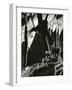 Rock Wall, California, 1969-Brett Weston-Framed Photographic Print