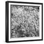 Rock Wall I-Jairo Rodriguez-Framed Photographic Print