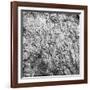 Rock Wall I-Jairo Rodriguez-Framed Photographic Print