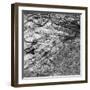 Rock Wall II-Jairo Rodriguez-Framed Photographic Print