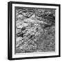 Rock Wall II-Jairo Rodriguez-Framed Photographic Print