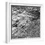 Rock Wall II-Jairo Rodriguez-Framed Photographic Print