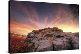 Rock Wall Sunset-Bob Larson-Stretched Canvas