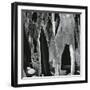 Rock Wall, Westgard Pass, California, 1971-Brett Weston-Framed Photographic Print