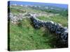 Rock Walls, Aran Island, Inishmore, Ireland-Marilyn Parver-Stretched Canvas