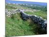 Rock Walls, Aran Island, Inishmore, Ireland-Marilyn Parver-Mounted Photographic Print