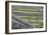 Rock Walls Create Small Paddocks for Sheep and Cattle on Inisheer-Michael Nolan-Framed Photographic Print