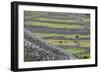 Rock Walls Create Small Paddocks for Sheep and Cattle on Inisheer-Michael Nolan-Framed Photographic Print