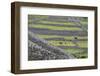 Rock Walls Create Small Paddocks for Sheep and Cattle on Inisheer-Michael Nolan-Framed Photographic Print