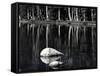 Rock, water, tree, High Sierra (b/w photo)-Brett Weston-Framed Stretched Canvas