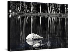 Rock, water, tree, High Sierra (b/w photo)-Brett Weston-Stretched Canvas