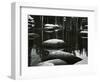 Rock, Water, Trees, Reflection, High Sierra, c. 1970-Brett Weston-Framed Photographic Print