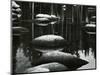 Rock, Water, Trees, Reflection, High Sierra, c. 1970-Brett Weston-Mounted Photographic Print