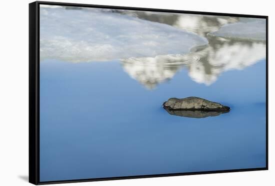 Rock with Sky Reflected in Water.-Arctic-Images-Framed Stretched Canvas