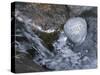 Rock with the Word Smile in Rushing Water-null-Stretched Canvas