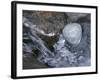 Rock with the Word Smile in Rushing Water-null-Framed Photographic Print