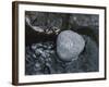 Rock with the Word Smile in Rushing Water-null-Framed Photographic Print