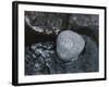 Rock with the Word Smile in Rushing Water-null-Framed Photographic Print