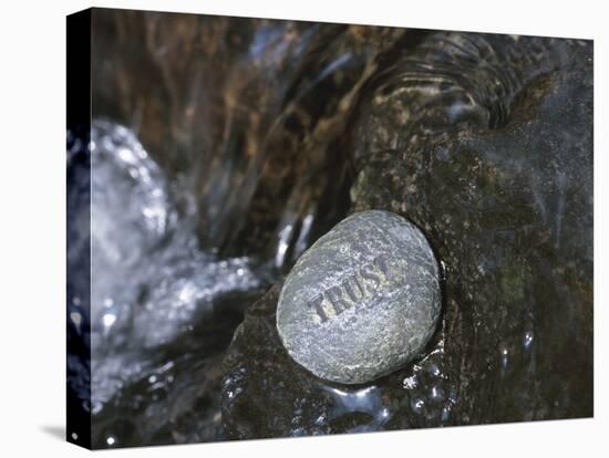 Rock with the Word Trust in Water-null-Stretched Canvas