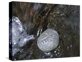 Rock with the Word Trust in Water-null-Stretched Canvas