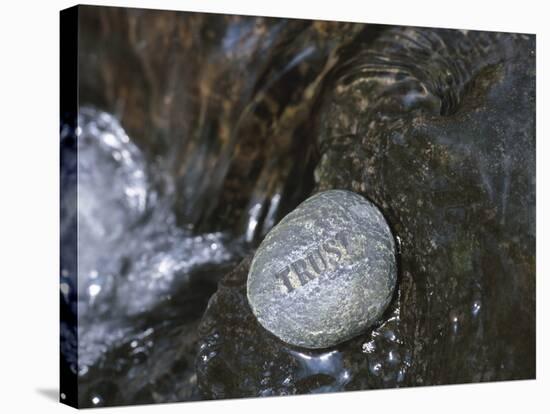 Rock with the Word Trust in Water-null-Stretched Canvas