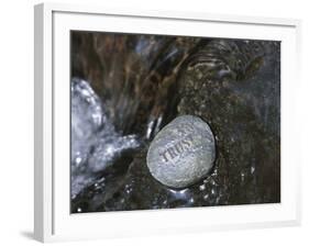 Rock with the Word Trust in Water-null-Framed Photographic Print