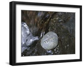 Rock with the Word Trust in Water-null-Framed Photographic Print