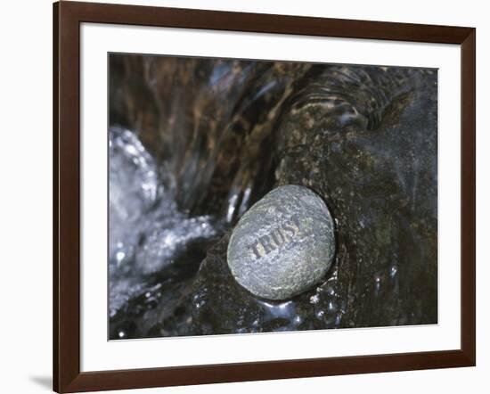 Rock with the Word Trust in Water-null-Framed Photographic Print