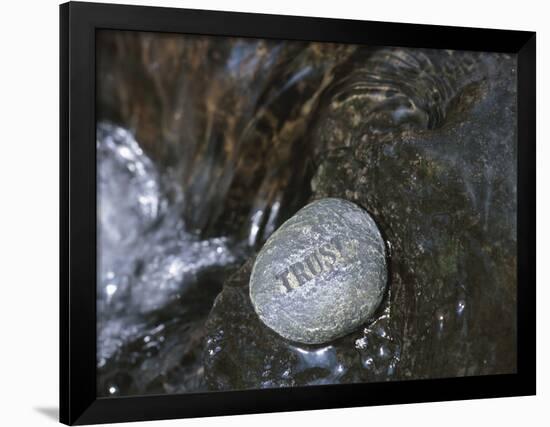 Rock with the Word Trust in Water-null-Framed Photographic Print