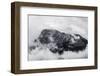 Rock-Zych-Framed Photographic Print