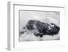 Rock-Zych-Framed Photographic Print