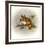 Rockabye Baby-Peggy Harris-Framed Giclee Print