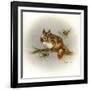 Rockabye Baby-Peggy Harris-Framed Giclee Print