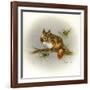 Rockabye Baby-Peggy Harris-Framed Giclee Print