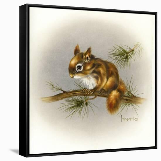 Rockabye Baby-Peggy Harris-Framed Stretched Canvas