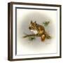 Rockabye Baby-Peggy Harris-Framed Giclee Print