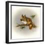 Rockabye Baby-Peggy Harris-Framed Giclee Print