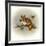 Rockabye Baby-Peggy Harris-Framed Giclee Print