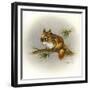 Rockabye Baby-Peggy Harris-Framed Giclee Print