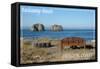 Rockaway Beach, Oregon - Rockaway Beach and Bench-Lantern Press-Framed Stretched Canvas