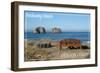 Rockaway Beach, Oregon - Rockaway Beach and Bench-Lantern Press-Framed Art Print